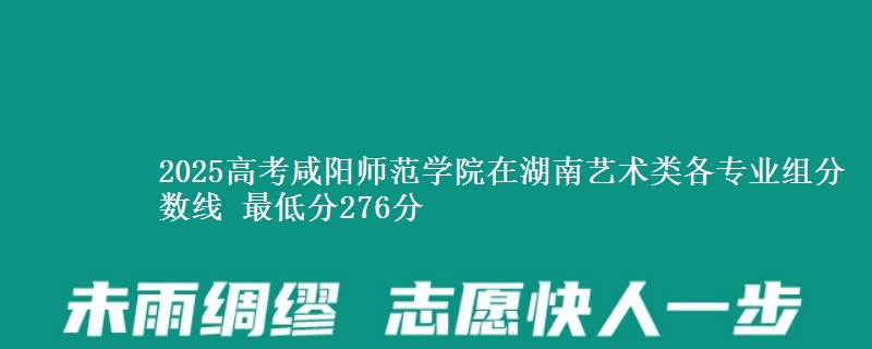 2025高考咸陽師范學院在湖南藝術(shù)類各專業(yè)組分數(shù)線 最低分276分