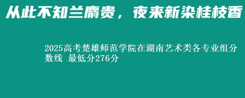 2025高考楚雄師范學院在湖南藝術(shù)類各專業(yè)組分數(shù)線 最低分276分