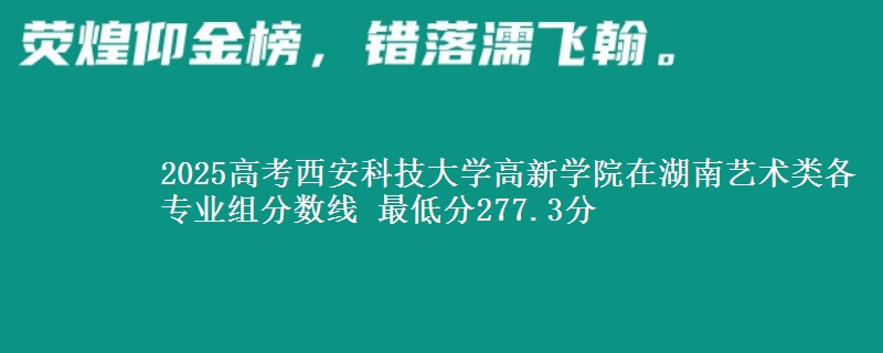 2025高考西安科技大學(xué)高新學(xué)院在湖南藝術(shù)類(lèi)各專(zhuān)業(yè)組分?jǐn)?shù)線(xiàn) 最低分277.3分
