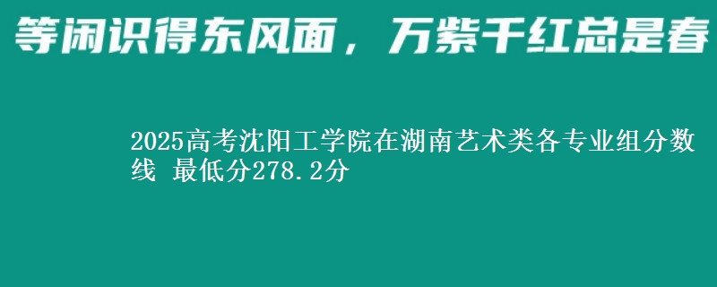 2025高考沈陽工學(xué)院在湖南藝術(shù)類各專業(yè)組分?jǐn)?shù)線 最低分278.2分