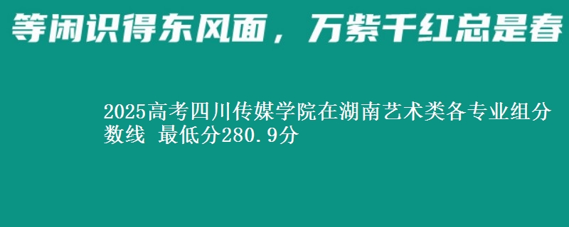 2025高考四川傳媒學(xué)院在湖南藝術(shù)類(lèi)各專(zhuān)業(yè)組分?jǐn)?shù)線 最低分280.9分