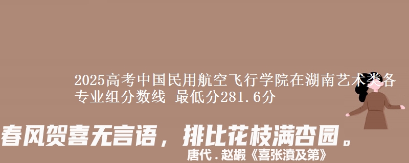 2025高考中國民用航空飛行學(xué)院在湖南藝術(shù)類各專業(yè)組分?jǐn)?shù)線 最低分281.6分