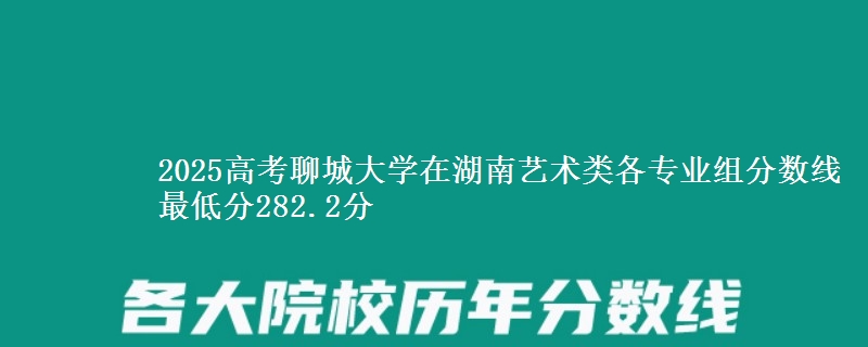 2025高考聊城大學(xué)在湖南藝術(shù)類各專業(yè)組分?jǐn)?shù)線 最低分282.2分