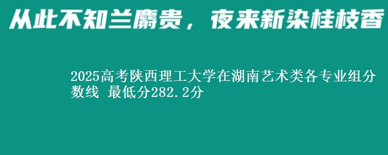 2025高考陜西理工大學(xué)在湖南藝術(shù)類各專業(yè)組分?jǐn)?shù)線 最低分282.2分