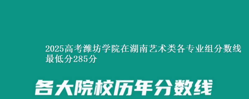 2025高考濰坊學院在湖南藝術類各專業(yè)組分數線 最低分285分