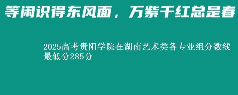 2025高考貴陽學院在湖南藝術類各專業(yè)組分數線 最低分285分