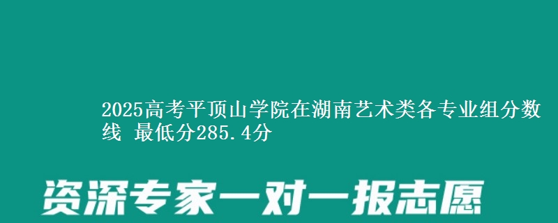 2025高考平頂山學院在湖南藝術類各專業(yè)組分數線 最低分285.4分