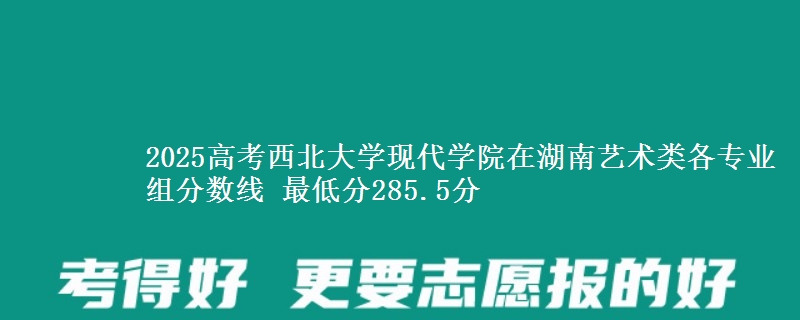2025高考西北大學現代學院在湖南藝術類各專業(yè)組分數線 最低分285.5分