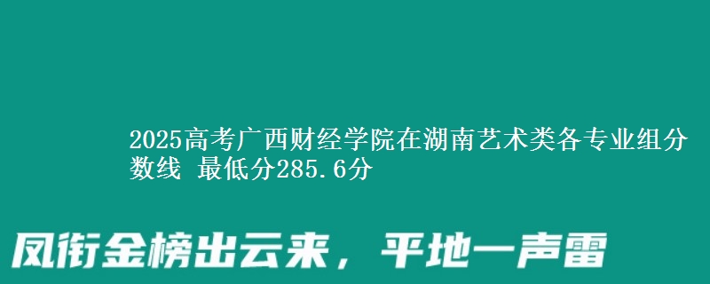 2025高考廣西財經學院在湖南藝術類各專業(yè)組分數線 最低分285.6分