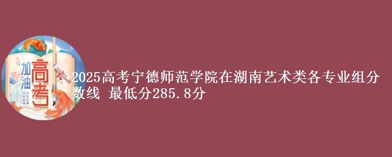 2025高考寧德師范學院在湖南藝術類各專業(yè)組分數線 最低分285.8分
