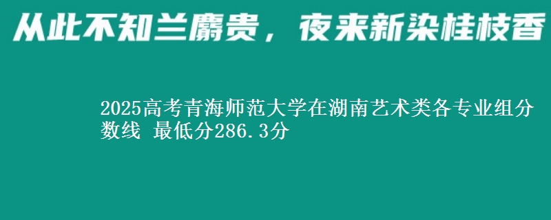 2025高考青海師范大學在湖南藝術類各專業(yè)組分數線 最低分286.3分