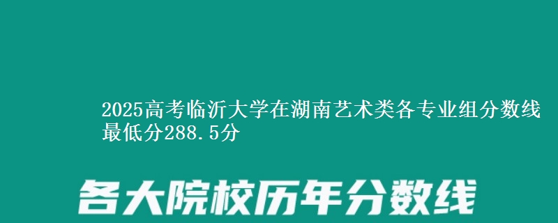 2025高考臨沂大學(xué)在湖南藝術(shù)類各專業(yè)組分?jǐn)?shù)線 最低分288.5分