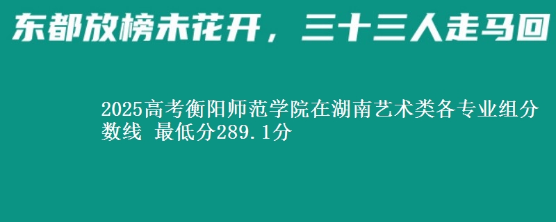 2025高考衡陽師范學(xué)院在湖南藝術(shù)類各專業(yè)組分?jǐn)?shù)線 最低分289.1分