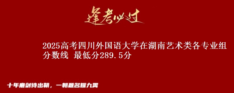 2025高考四川外國(guó)語大學(xué)在湖南藝術(shù)類各專業(yè)組分?jǐn)?shù)線 最低分289.5分