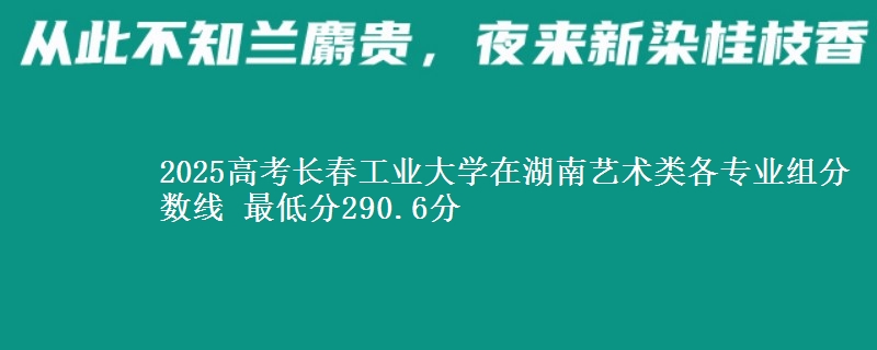 2025高考長春工業(yè)大學在湖南藝術類各專業(yè)組分數(shù)線 最低分290.6分