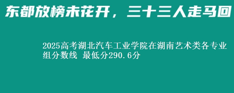 2025高考湖北汽車工業(yè)學院在湖南藝術類各專業(yè)組分數(shù)線 最低分290.6分