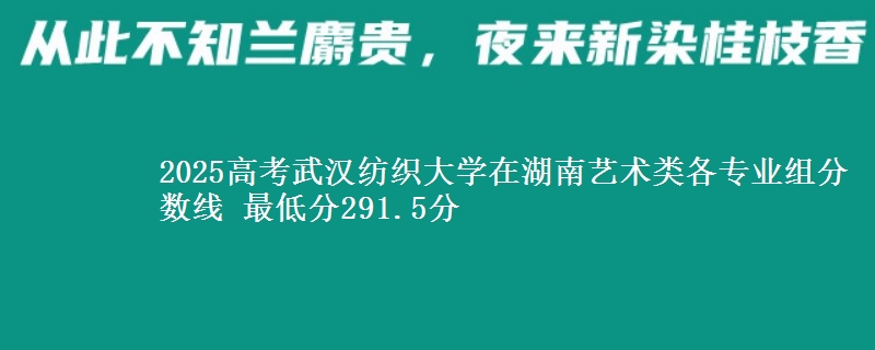 2025高考武漢紡織大學在湖南藝術類各專業(yè)組分數(shù)線 最低分291.5分