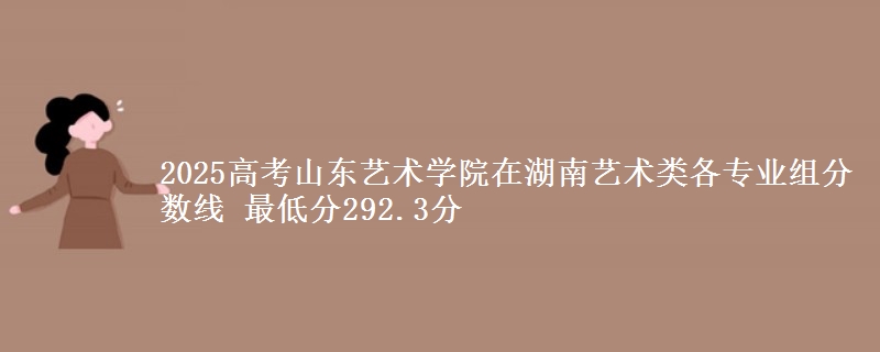 2025高考山東藝術(shù)學(xué)院在湖南藝術(shù)類(lèi)各專(zhuān)業(yè)組分?jǐn)?shù)線(xiàn) 最低分292.3分