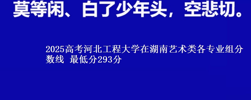 2025高考河北工程大學(xué)在湖南藝術(shù)類(lèi)各專(zhuān)業(yè)組分?jǐn)?shù)線(xiàn) 最低分293分