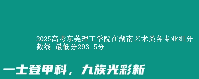 2025高考東莞理工學(xué)院在湖南藝術(shù)類各專業(yè)組分?jǐn)?shù)線 最低分293.5分
