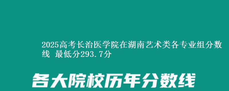 2025高考長治醫(yī)學(xué)院在湖南藝術(shù)類各專業(yè)組分?jǐn)?shù)線 最低分293.7分