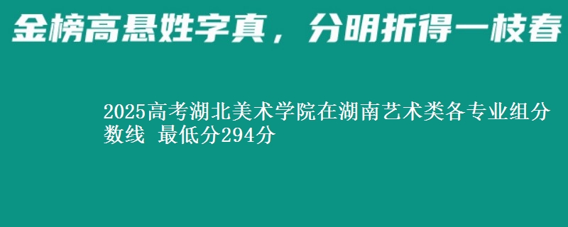 2025高考湖北美術(shù)學(xué)院在湖南藝術(shù)類各專業(yè)組分?jǐn)?shù)線 最低分294分