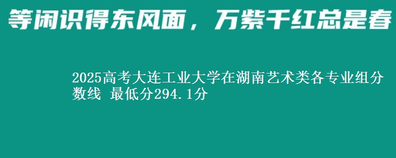2025高考大連工業(yè)大學(xué)在湖南藝術(shù)類各專業(yè)組分?jǐn)?shù)線 最低分294.1分