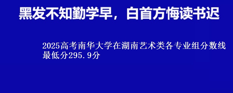 2025高考南華大學(xué)在湖南藝術(shù)類各專業(yè)組分?jǐn)?shù)線 最低分295.9分
