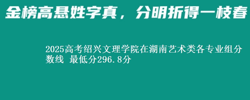 2025高考紹興文理學(xué)院在湖南藝術(shù)類各專業(yè)組分?jǐn)?shù)線 最低分296.8分
