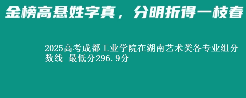 2025高考成都工業(yè)學(xué)院在湖南藝術(shù)類各專業(yè)組分?jǐn)?shù)線 最低分296.9分