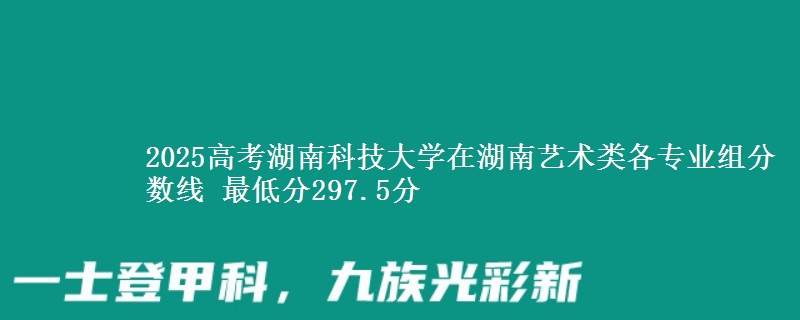 2025高考湖南科技大學(xué)在湖南藝術(shù)類各專業(yè)組分?jǐn)?shù)線 最低分297.5分
