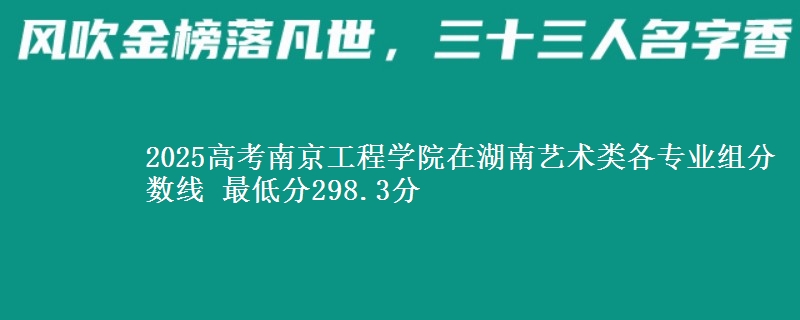 2025高考南京工程學院在湖南藝術類各專業(yè)組分數(shù)線 最低分298.3分