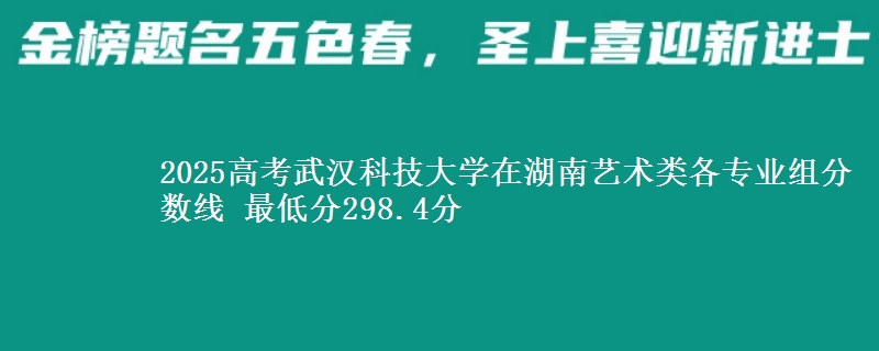 2025高考武漢科技大學在湖南藝術類各專業(yè)組分數(shù)線 最低分298.4分
