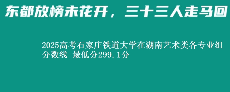 2025高考石家莊鐵道大學在湖南藝術類各專業(yè)組分數(shù)線 最低分299.1分