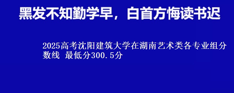 2025高考沈陽(yáng)建筑大學(xué)在湖南藝術(shù)類各專業(yè)組分?jǐn)?shù)線 最低分300.5分