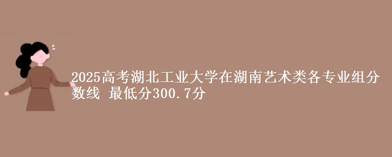 2025高考湖北工業(yè)大學(xué)在湖南藝術(shù)類各專業(yè)組分?jǐn)?shù)線 最低分300.7分