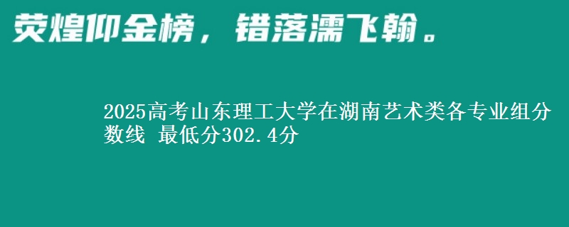 2025高考山東理工大學(xué)在湖南藝術(shù)類各專業(yè)組分?jǐn)?shù)線 最低分302.4分