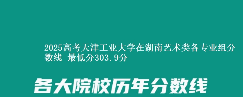 2025高考天津工業(yè)大學(xué)在湖南藝術(shù)類各專業(yè)組分?jǐn)?shù)線 最低分303.9分