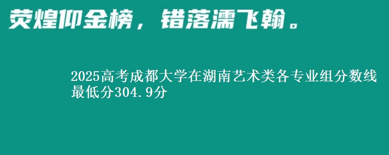 2025高考成都大學(xué)在湖南藝術(shù)類各專業(yè)組分?jǐn)?shù)線 最低分304.9分