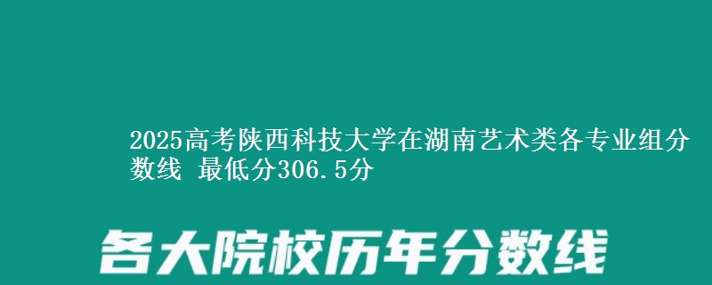 2025高考陜西科技大學(xué)在湖南藝術(shù)類各專業(yè)組分?jǐn)?shù)線 最低分306.5分
