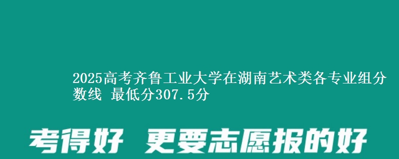 2025高考齊魯工業(yè)大學(xué)在湖南藝術(shù)類各專業(yè)組分?jǐn)?shù)線 最低分307.5分