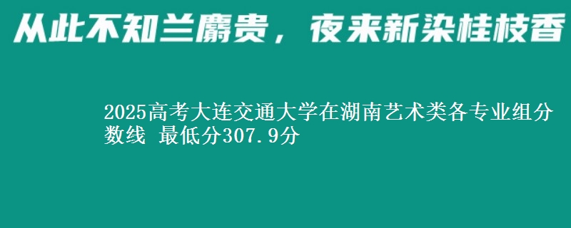 2025高考大連交通大學(xué)在湖南藝術(shù)類各專業(yè)組分?jǐn)?shù)線 最低分307.9分