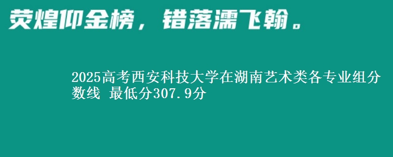 2025高考西安科技大學(xué)在湖南藝術(shù)類各專業(yè)組分?jǐn)?shù)線 最低分307.9分