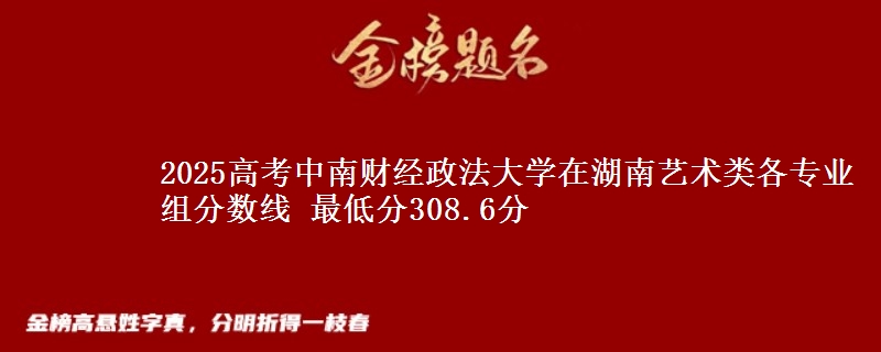 2025高考中南財經(jīng)政法大學(xué)在湖南藝術(shù)類各專業(yè)組分?jǐn)?shù)線 最低分308.6分