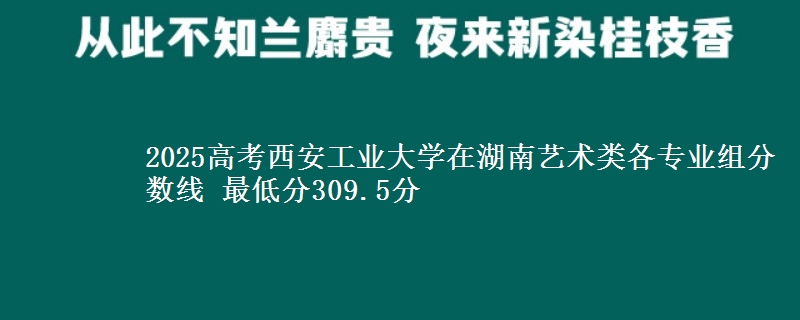 2025高考西安工業(yè)大學(xué)在湖南藝術(shù)類各專業(yè)組分?jǐn)?shù)線 最低分309.5分