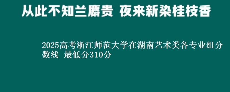 2025高考浙江師范大學(xué)在湖南藝術(shù)類各專業(yè)組分?jǐn)?shù)線 最低分310分