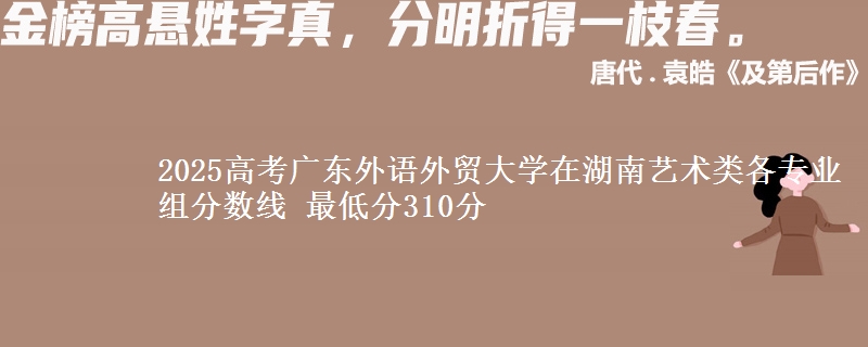 2025高考廣東外語(yǔ)外貿(mào)大學(xué)在湖南藝術(shù)類各專業(yè)組分?jǐn)?shù)線 最低分310分