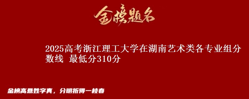 2025高考浙江理工大學(xué)在湖南藝術(shù)類各專業(yè)組分?jǐn)?shù)線 最低分310分