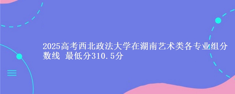 2025高考西北政法大學(xué)在湖南藝術(shù)類各專業(yè)組分?jǐn)?shù)線 最低分310.5分