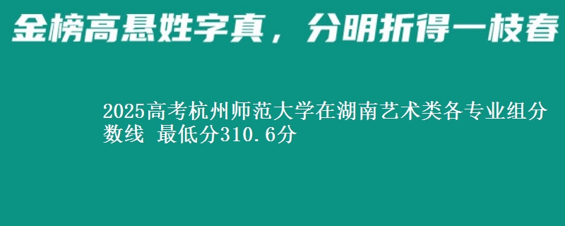 2025高考杭州師范大學(xué)在湖南藝術(shù)類各專業(yè)組分?jǐn)?shù)線 最低分310.6分